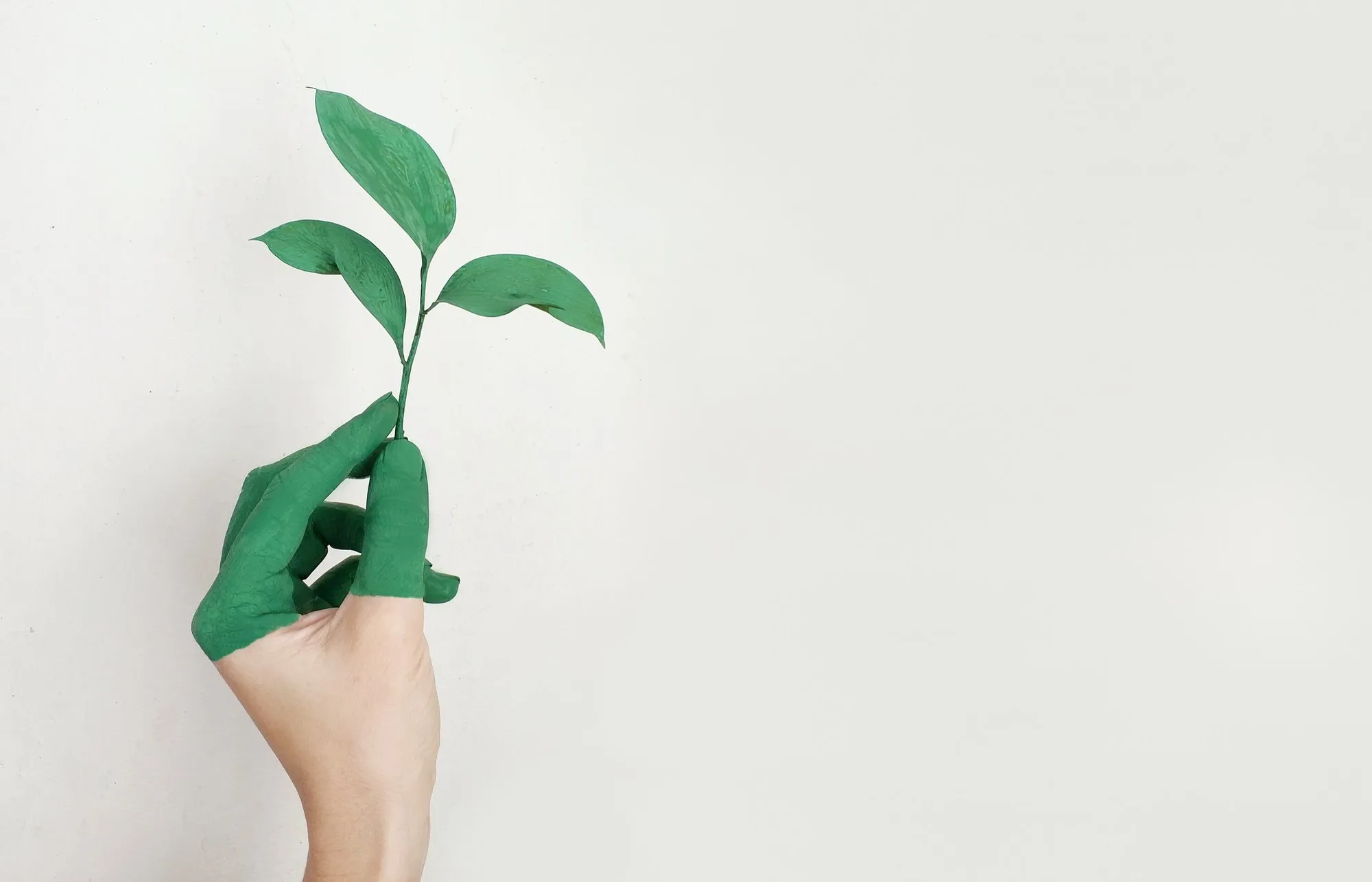 Hand painted green holding a young plant against a white wall